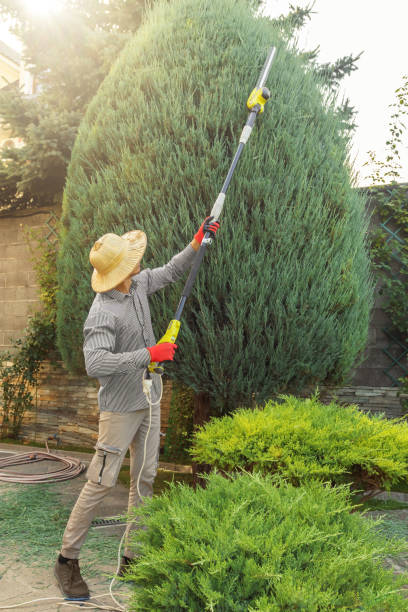 Best Tree Removal Services  in Twin Rivers, NJ